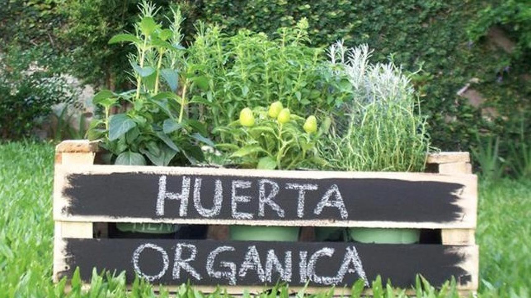 No hacen falta grandes espacios para crear tu propia huerta.