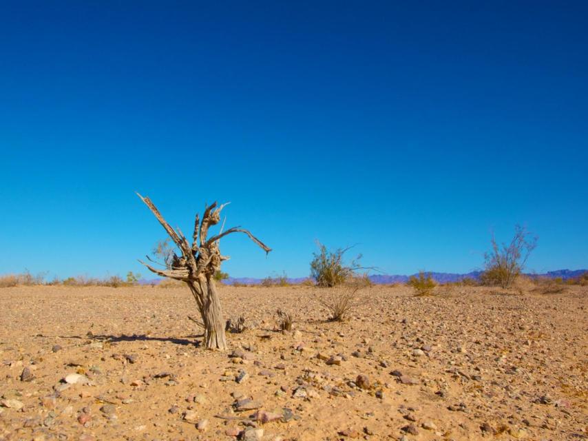 El cambio climático tiene efectos sobre la vida.