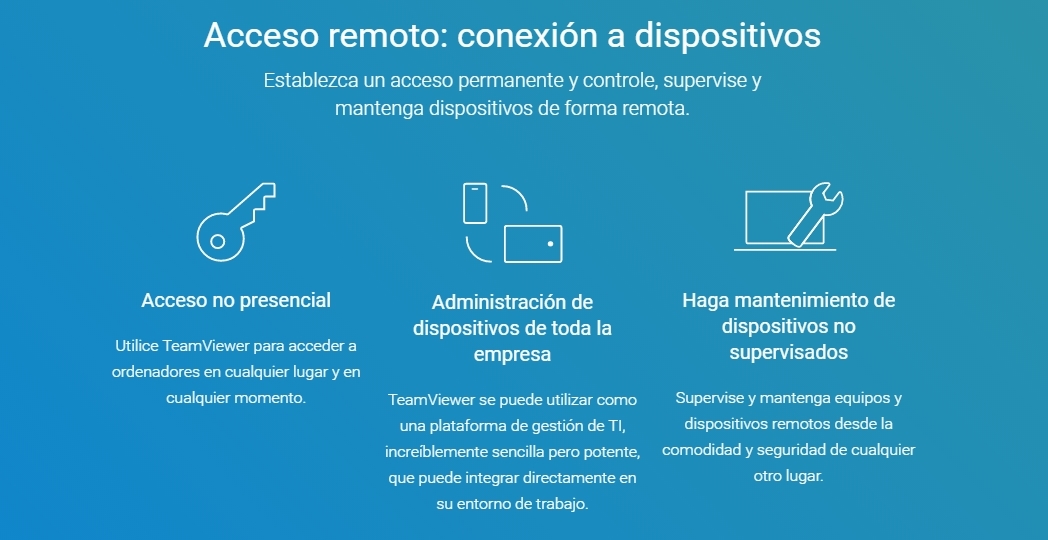teamviewer usos