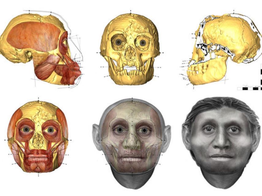 Reconstrucción facial del Hombre de Flores.