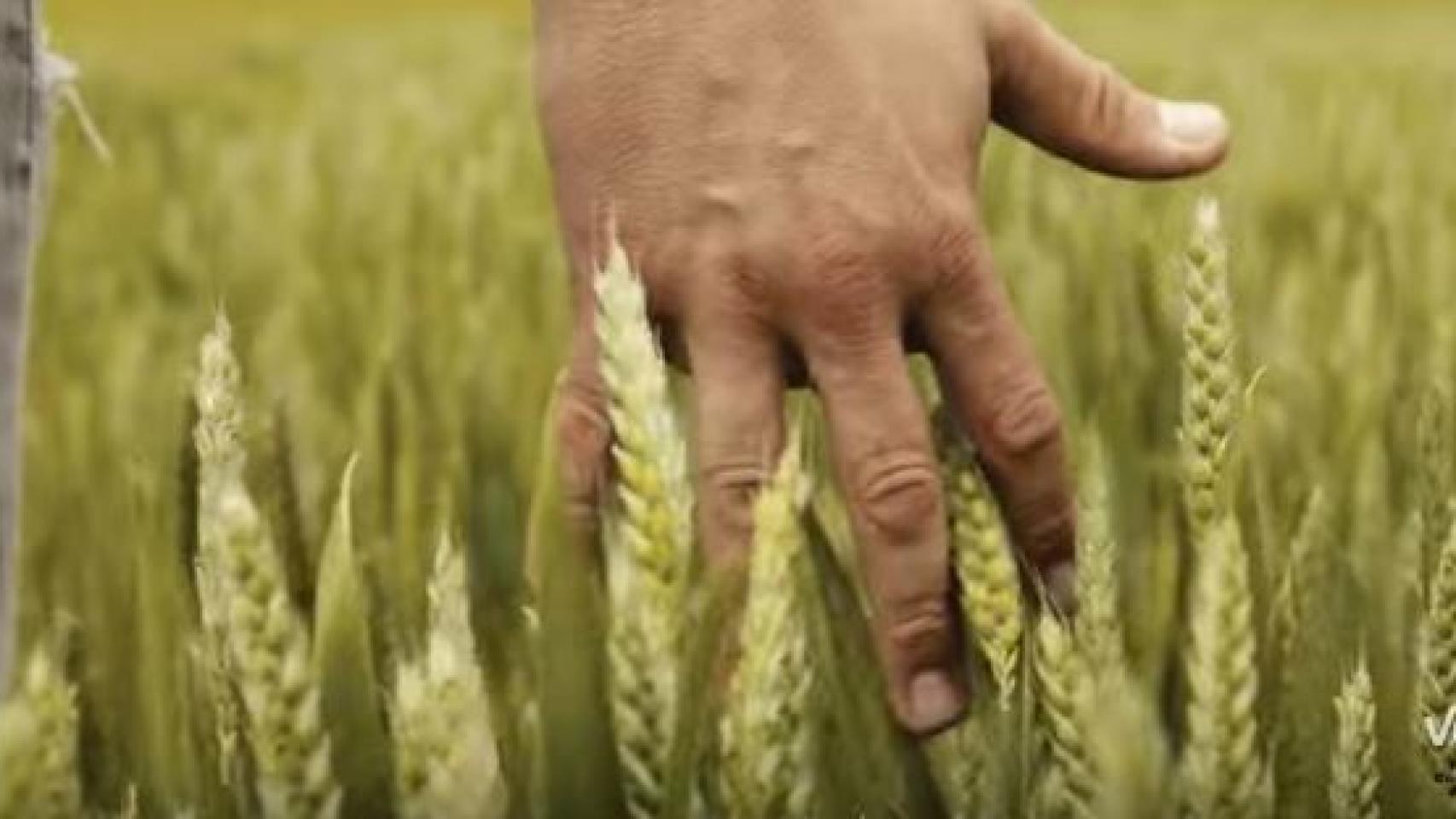 Captura del vídeo del Vox.