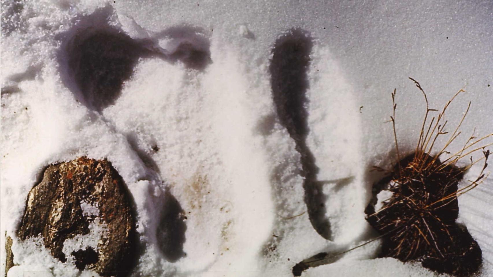 Una supuesta huella del Yeti al lado de una humana.