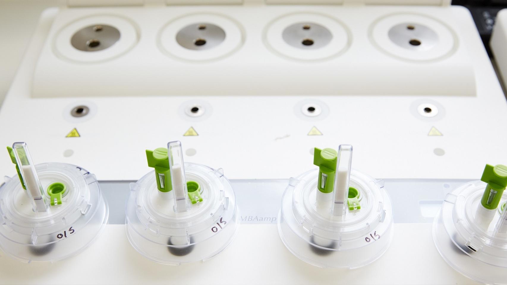 Viales listos para el análisis.