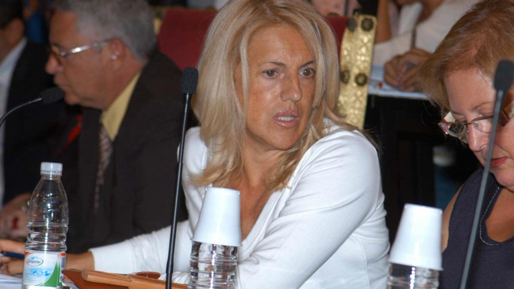 Soledad Olano, en un Pleno municipal de La Laguna