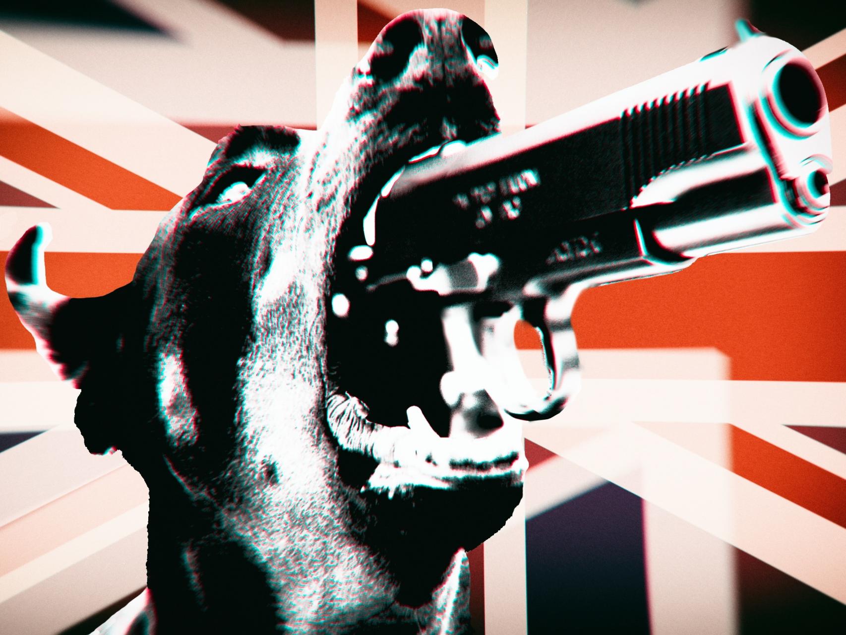 Ilustración: Javier Muñoz