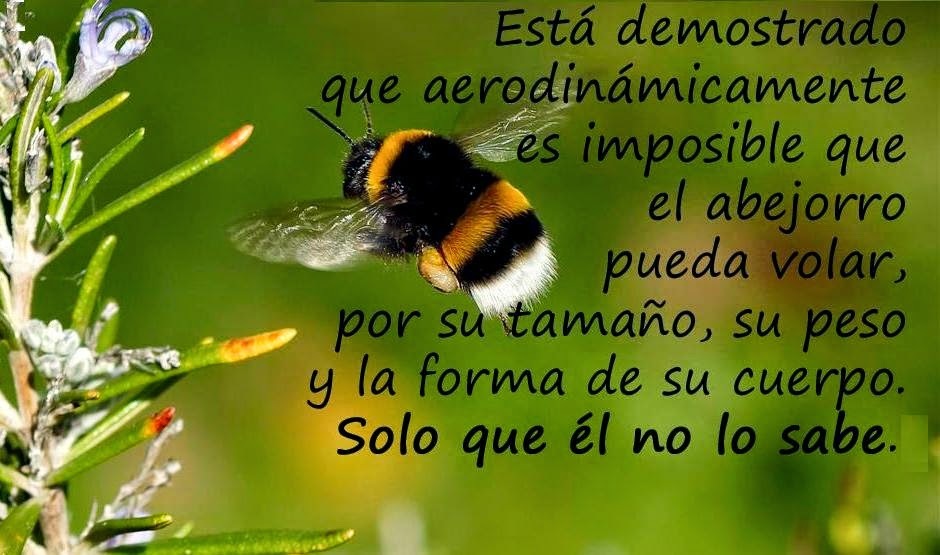 abejorro (1)