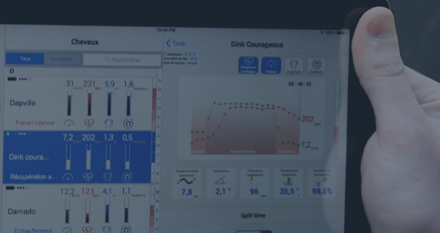 caballo wearable equimetre