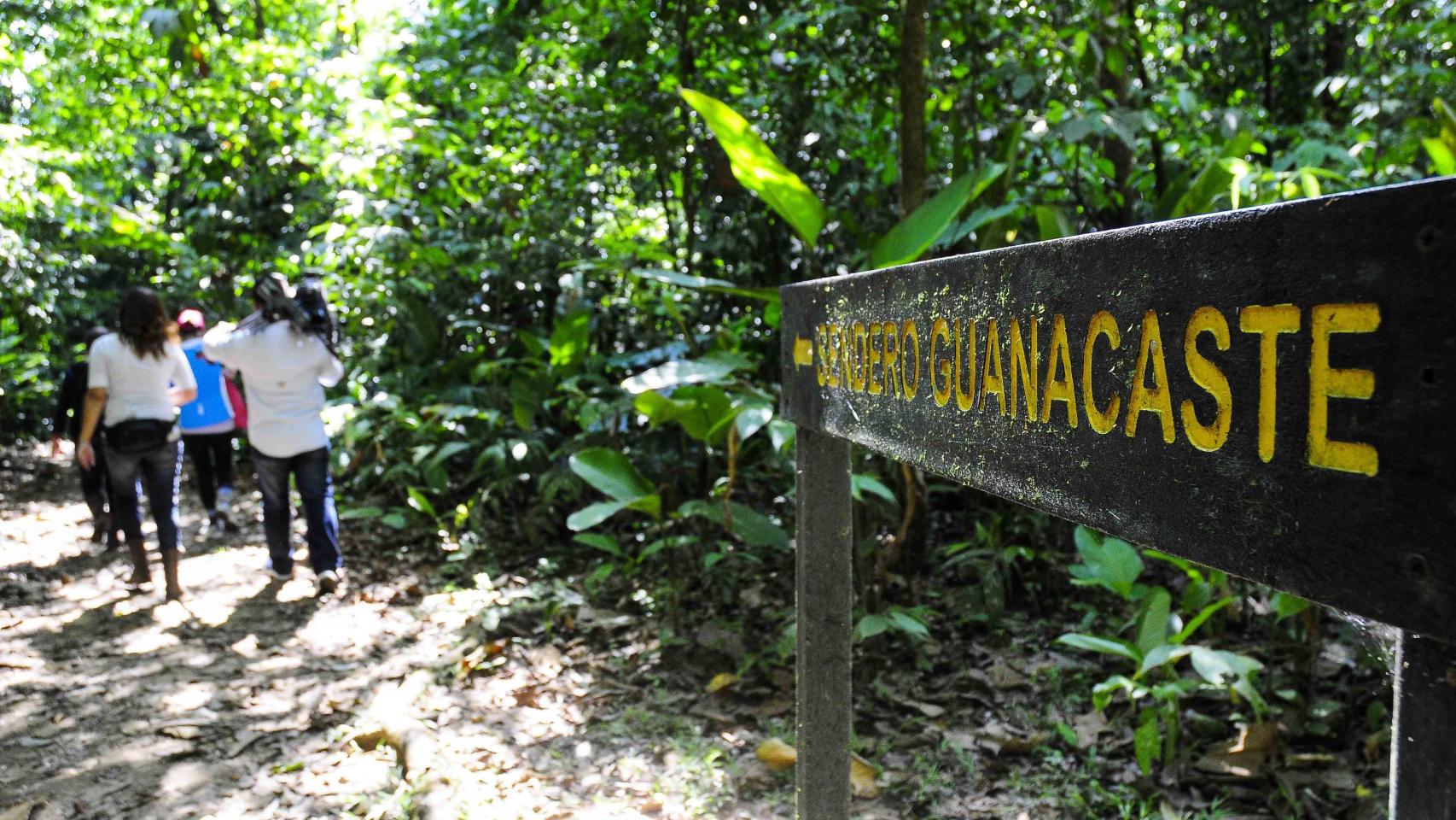 Camino para senderistas.