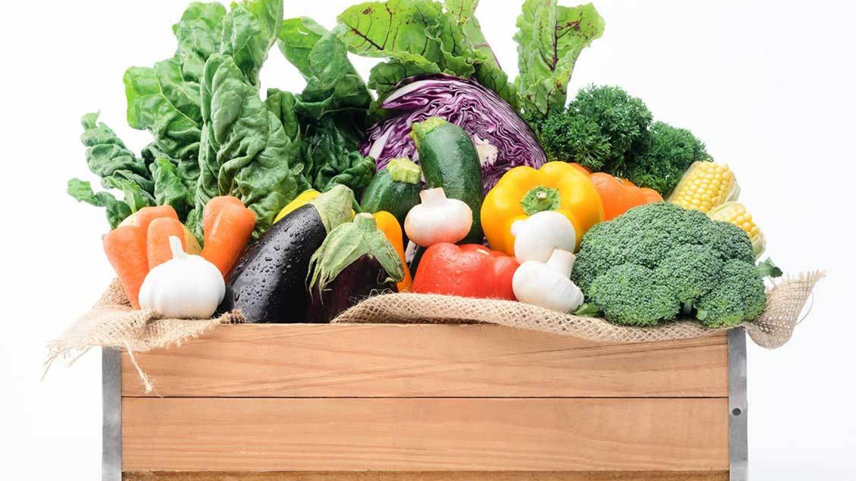 Cesta de vegetales y hortalizas procedentes de una huerta ecológica.