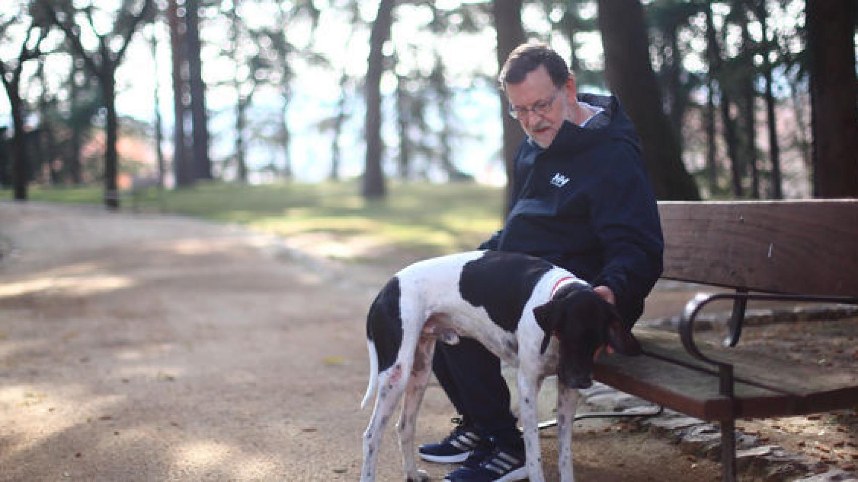 El Presidente en funciones Mariano Rajoy con su mascota Rico