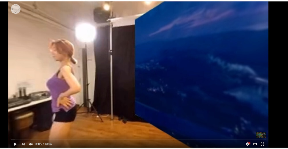 youtube pelicula pirata 1