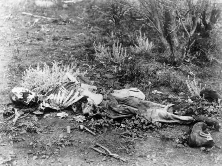 No queremos ver a nuestros muertos así.