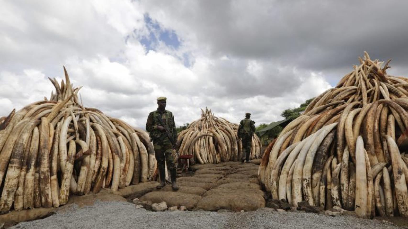 Agents del servicio de conservación de la fauna vigilan las reservas en el Parque Nacional de Nairobi.
