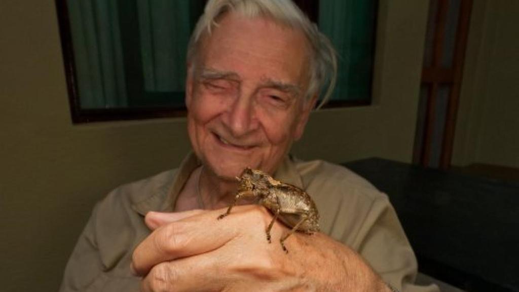 Image: El sentido de la existencia humana