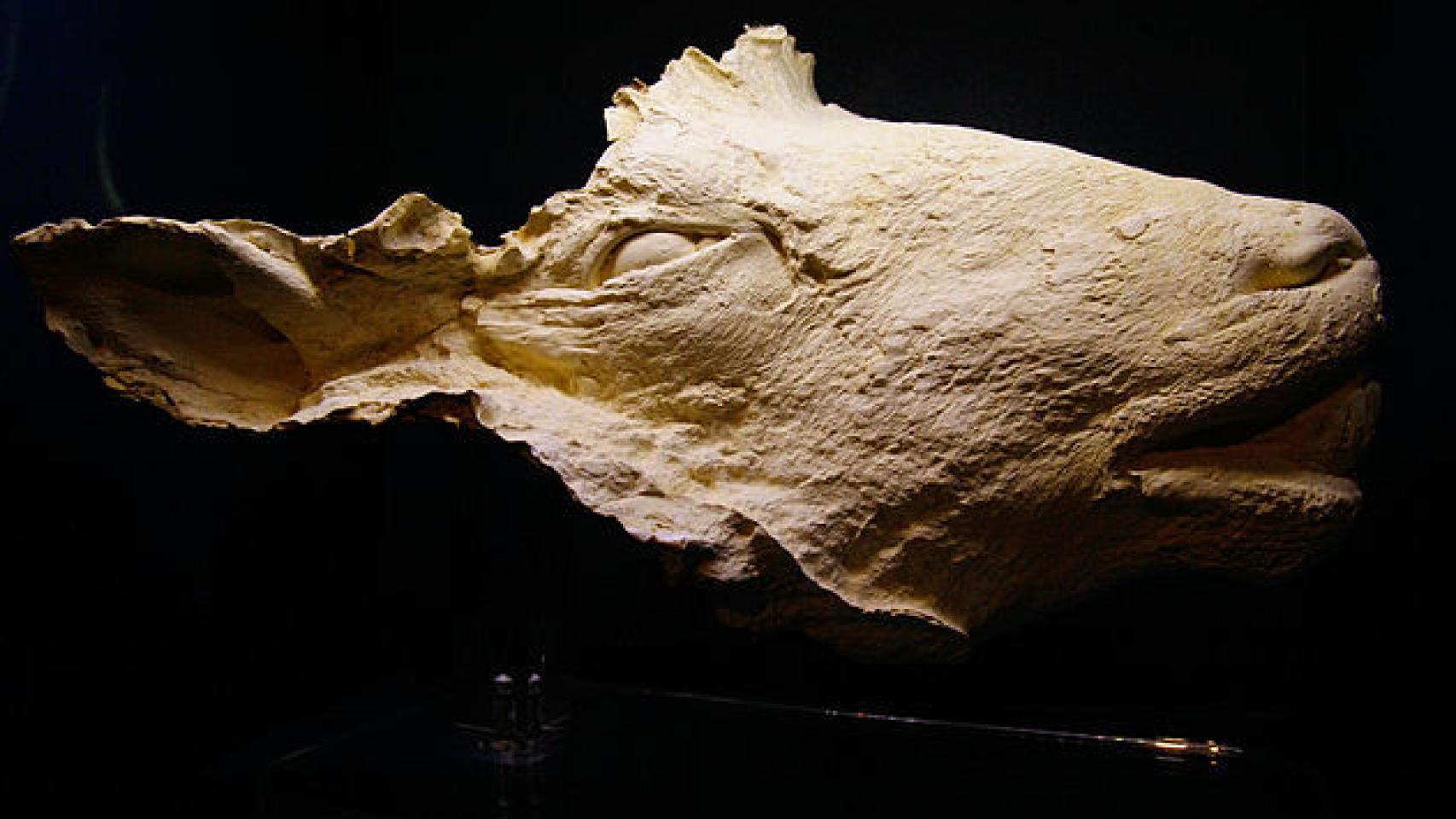 La máscara funeraria de Dolly.