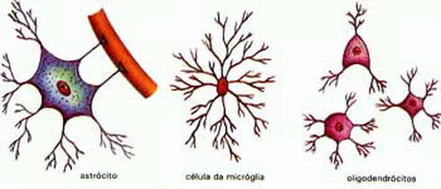 glia