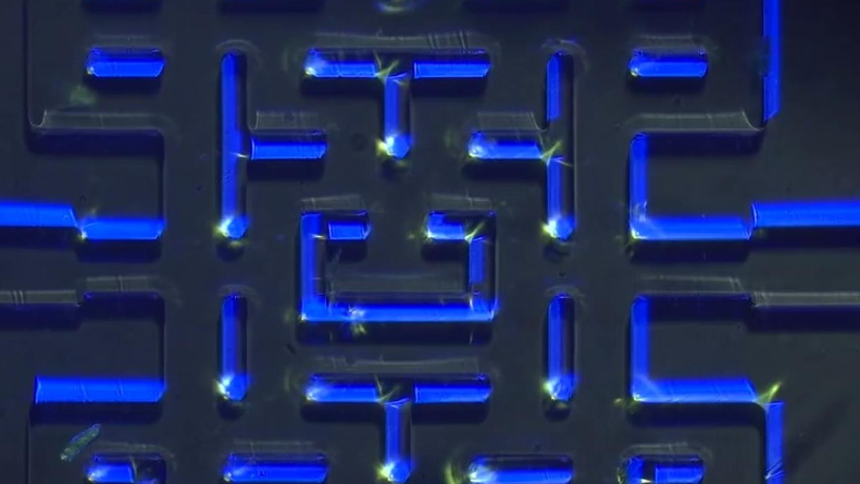 Imagen del minilaberinto usado en el experimento.