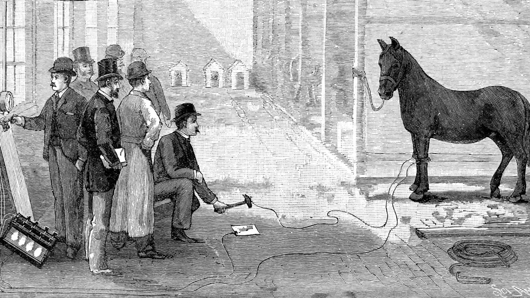 Demostración en un caballo de la fuerza letal de la corriente alterna.