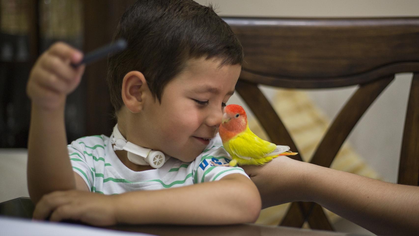 Las familias piden que haya enfermeros o auxiliares de enfermería en los colegios donde hay casos de Ondine.