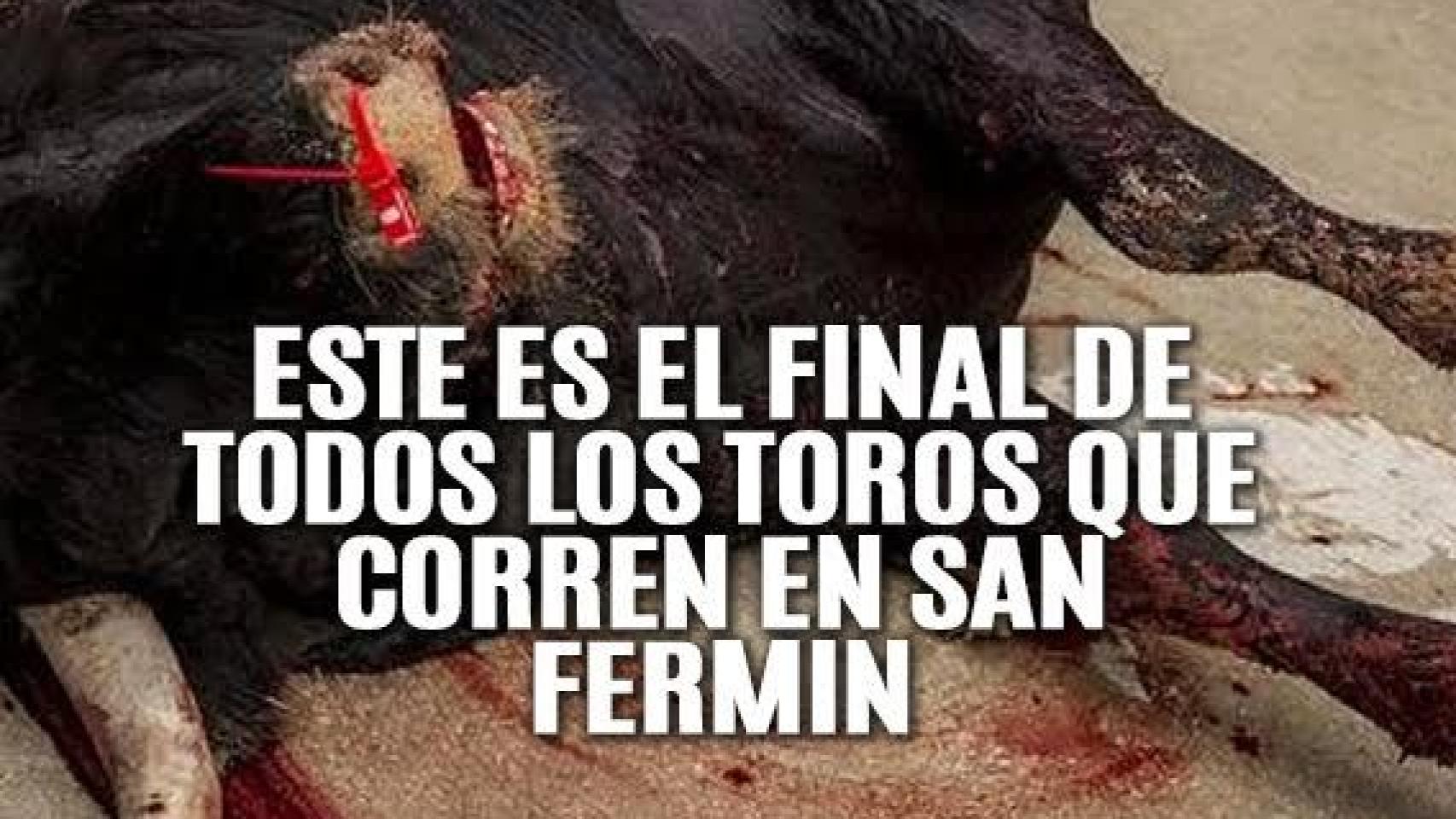 Foto empleada en la campaña