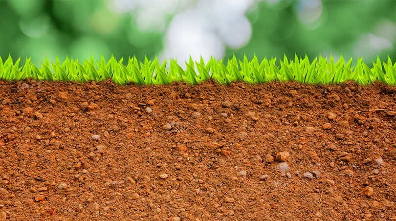 tipo-suelo-huerto-urbano-810x452