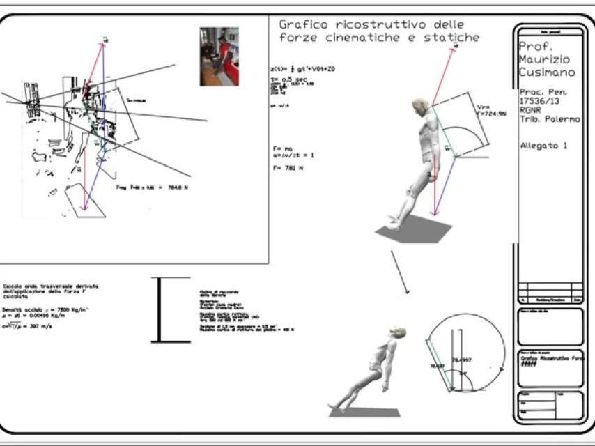 Esquema del informe pericial sobre la colocación del cuerpo del fallecido