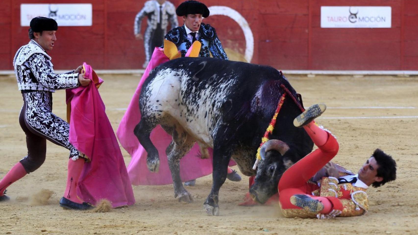 El torero segoviano Víctor Barrio, de 29 años, murió tras sufrir una cogida en el pecho.