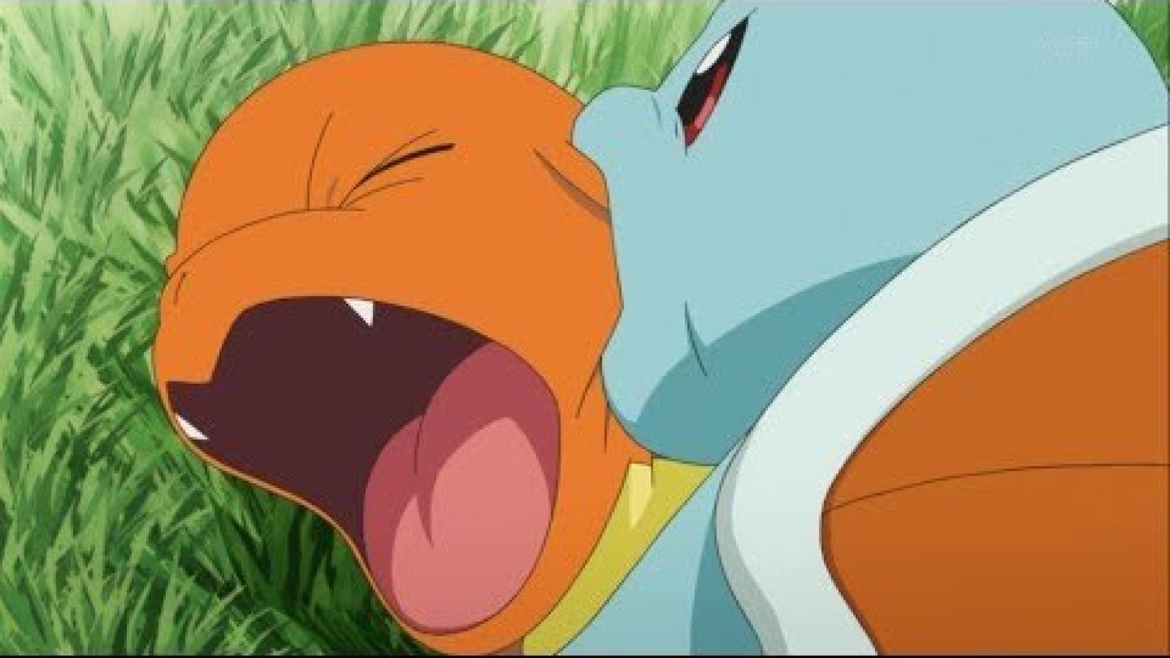 Charmander y Squirtle jugueteando