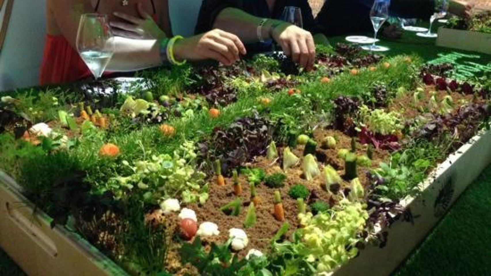 Huerto parecido al que se sirvió en la boda del hijo de Ana Rosa Quintana