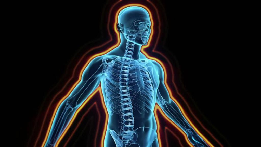 sistema_inmune_comportamiento