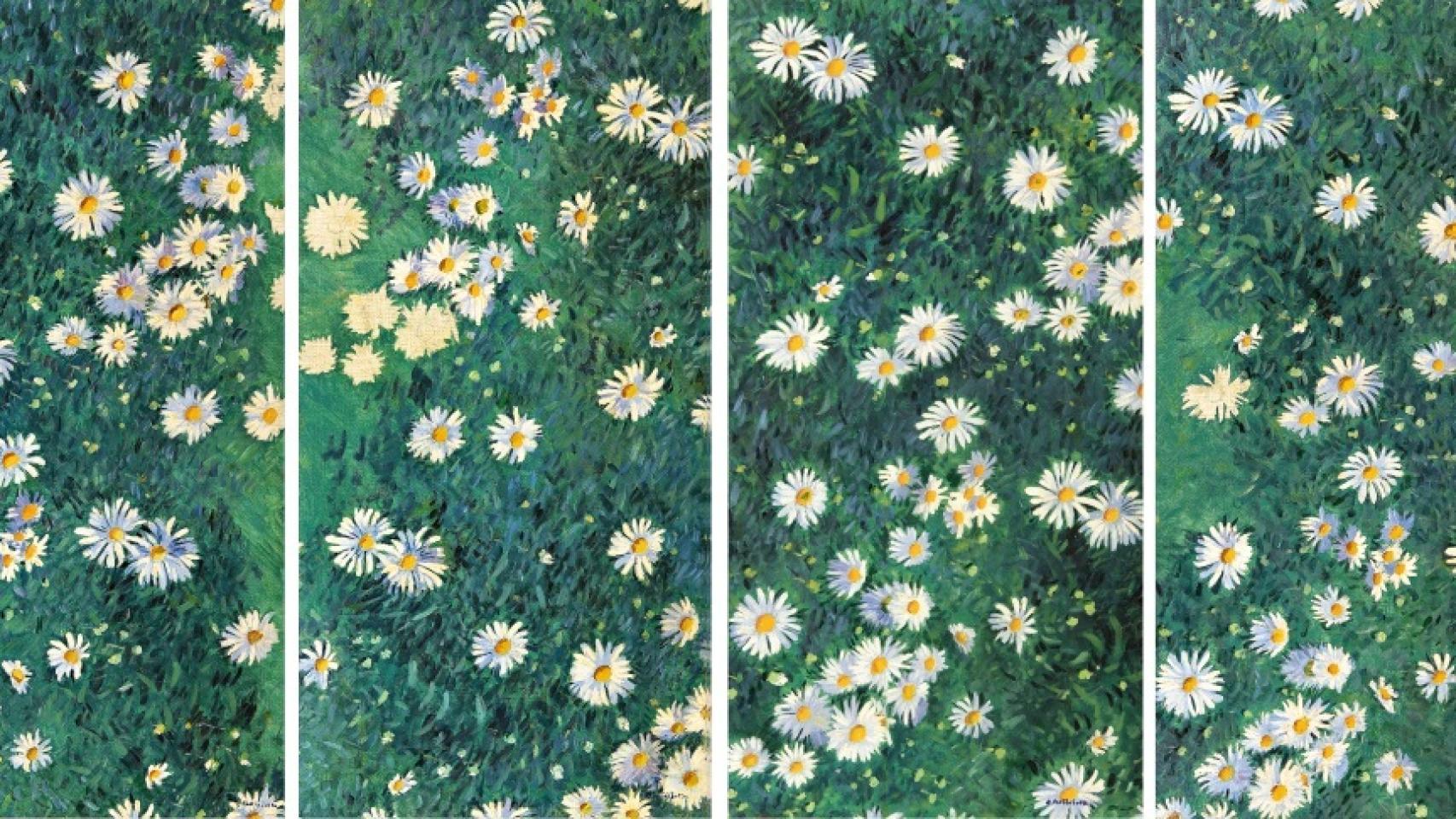 Parterre de margaritas, pintado por Caillebotte en 1892.