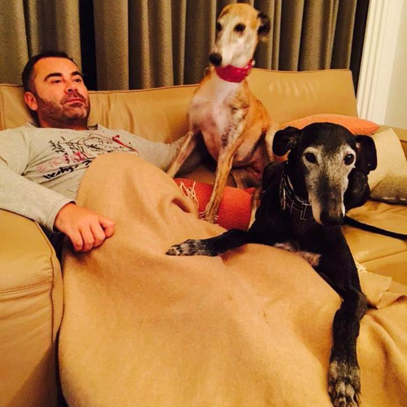 El presentador relajado junto a sus galgos.