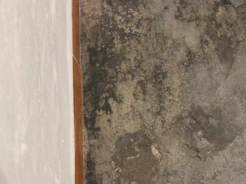 La nueva cara ha aparecido en el interior de un ojo.