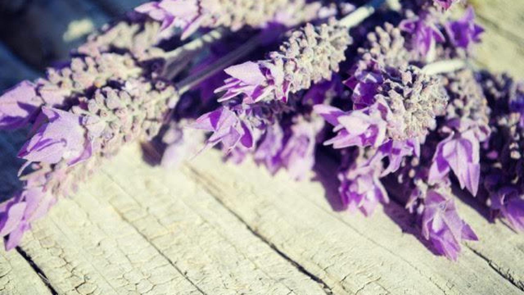 Un poquito de Lavanda para decorar.