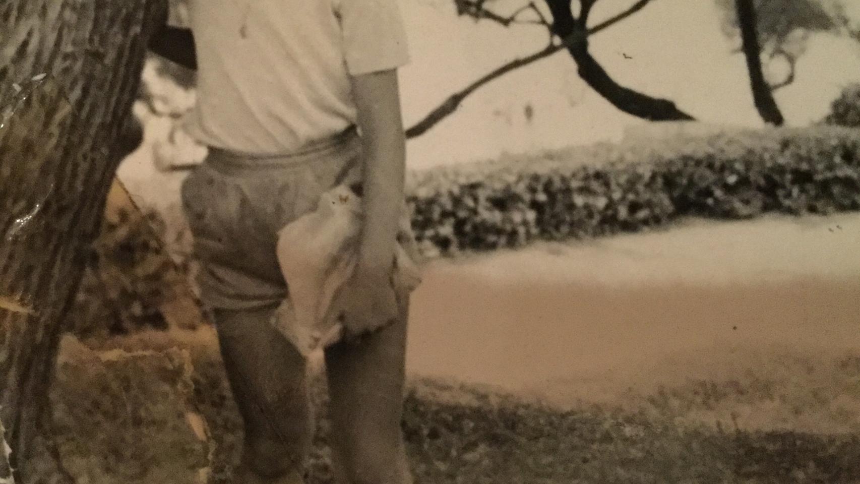 El verano de 1966 de Luisa Martín.