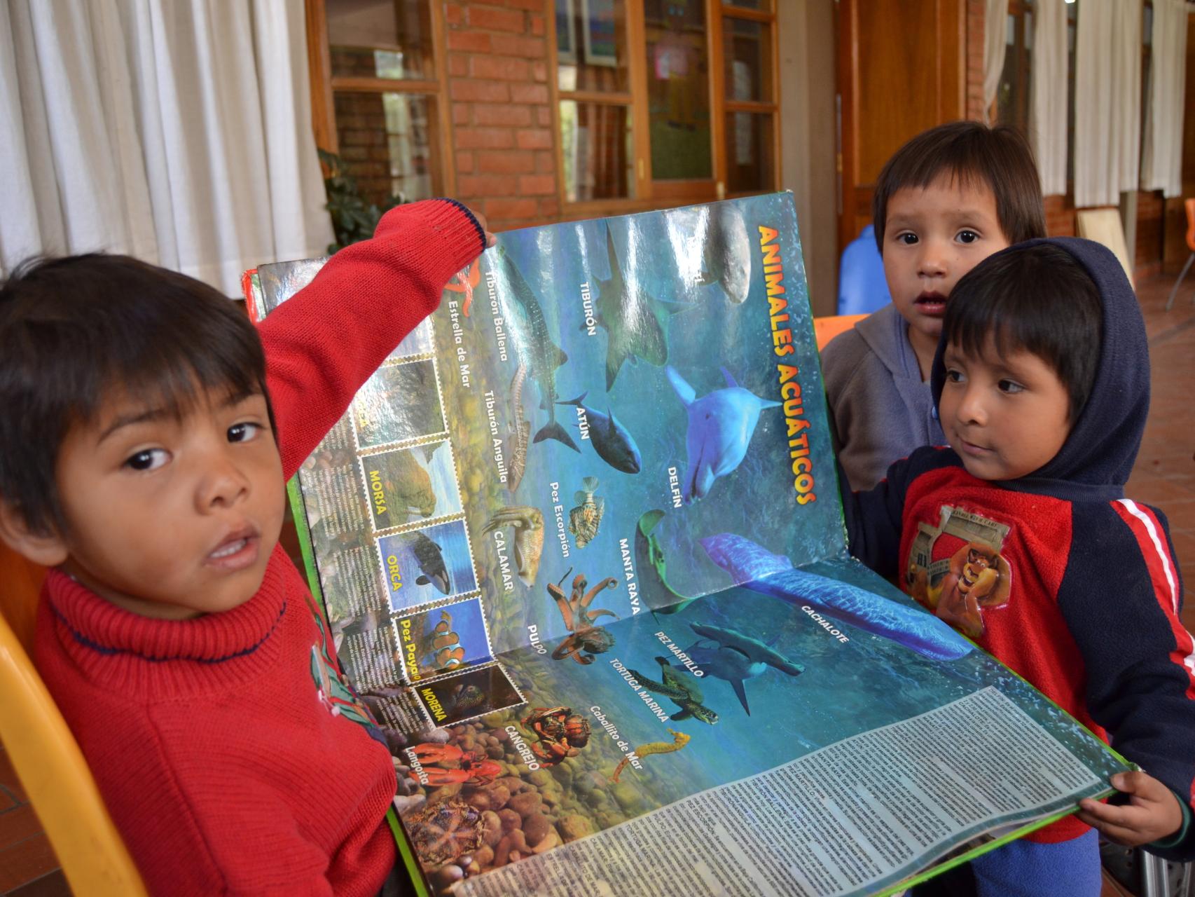Las causas del fenómeno de los niños de la calle son múltiples.