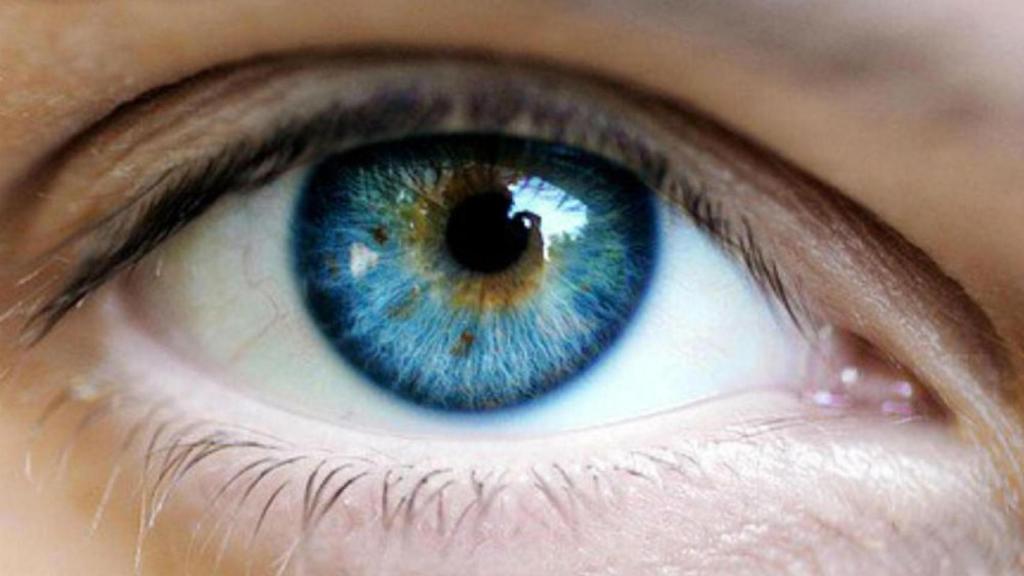 ojo_humano