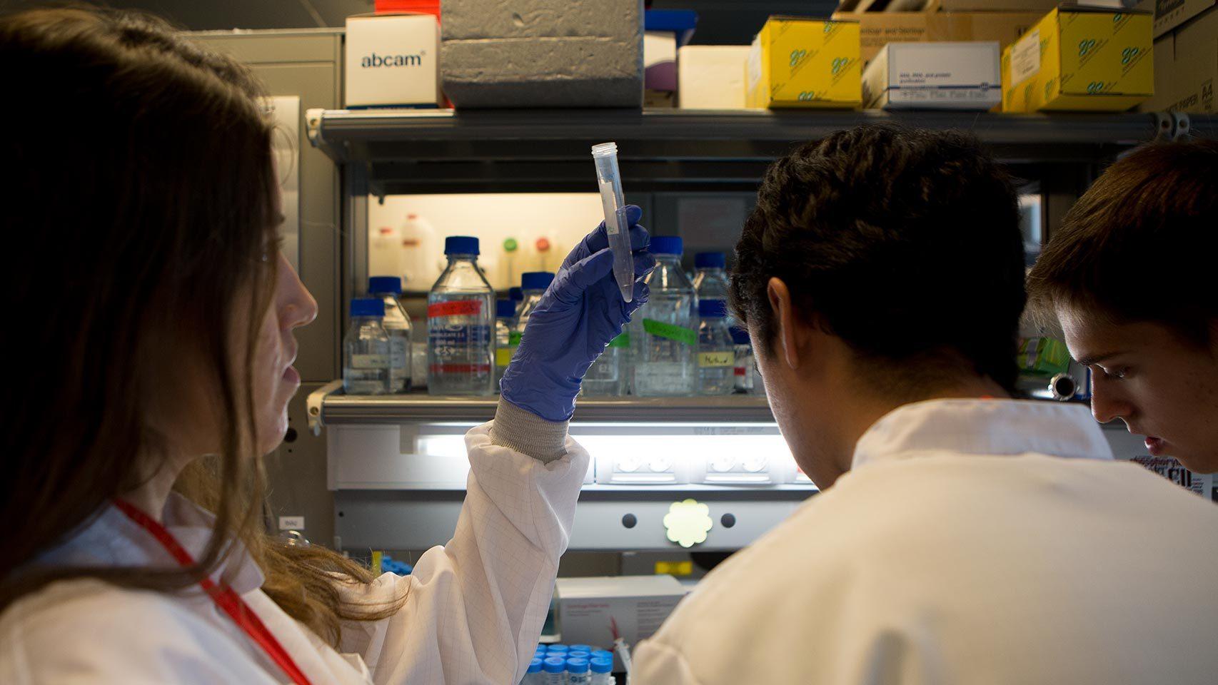 Estudiantes del programa.