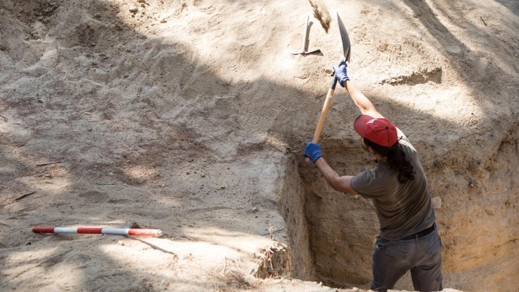 El proyecto se ha ejecutado sin ayudas públicas.