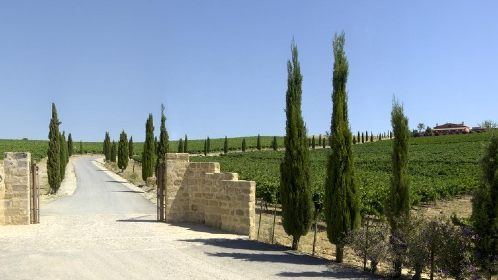 Las bodegas de Luis Pérez acogen el enlace de Arrimadas y Cima.