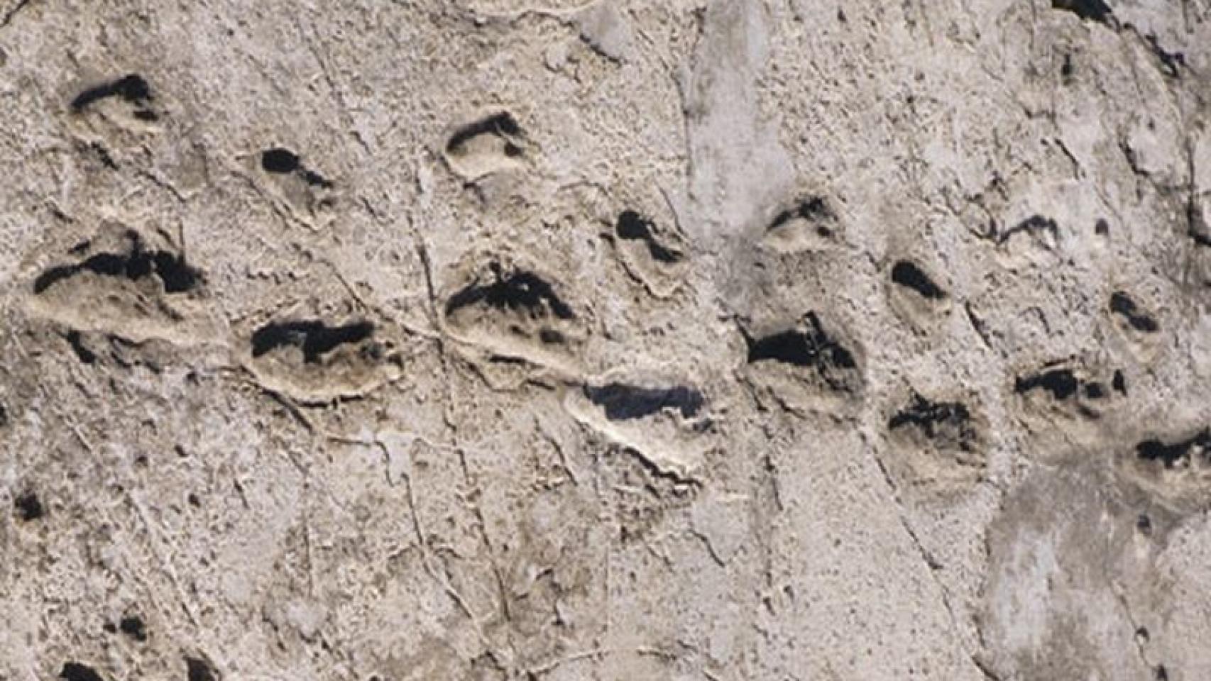 Las célebres icnitas del yacimiento de Laetoli