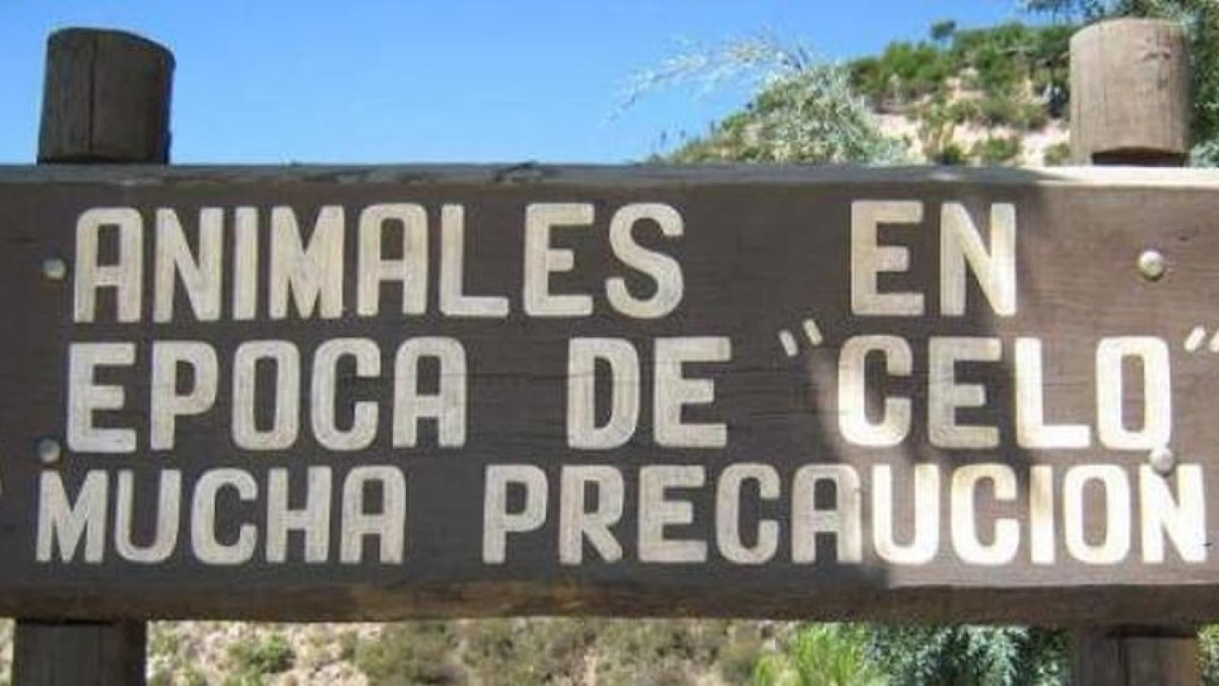 El estro oculto, una buena excusa para copular a cualquier hora