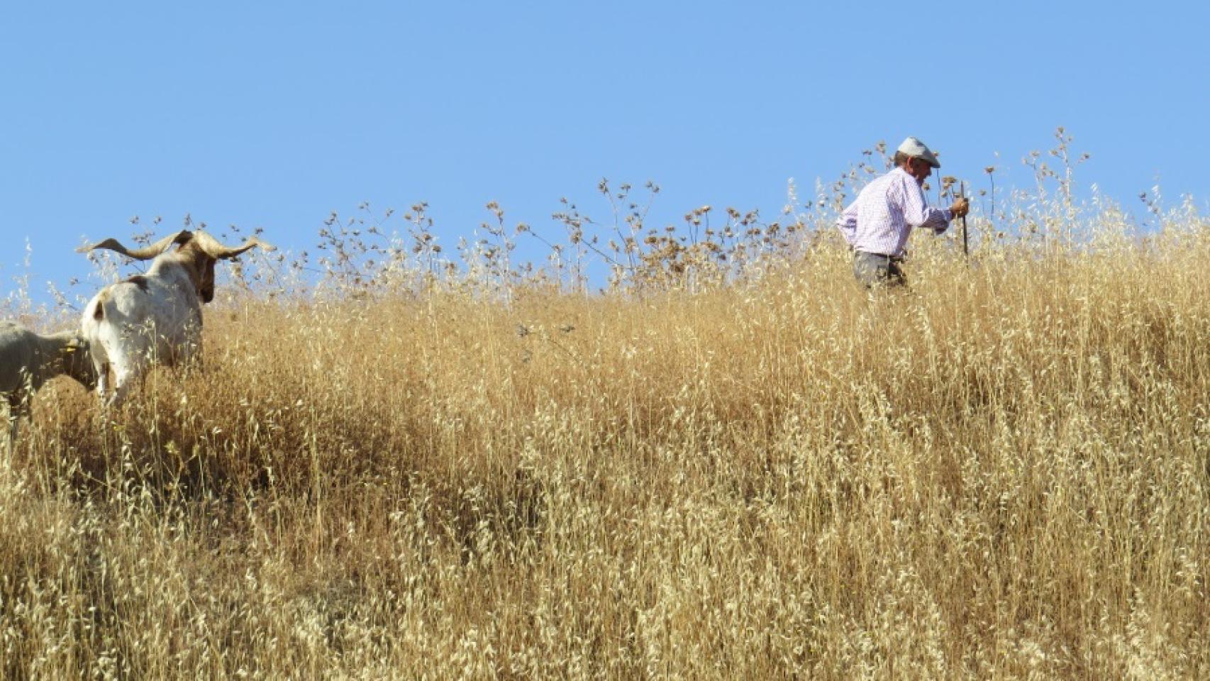 Hablamos de una práctica milenaria, ancestral, casi mágica.