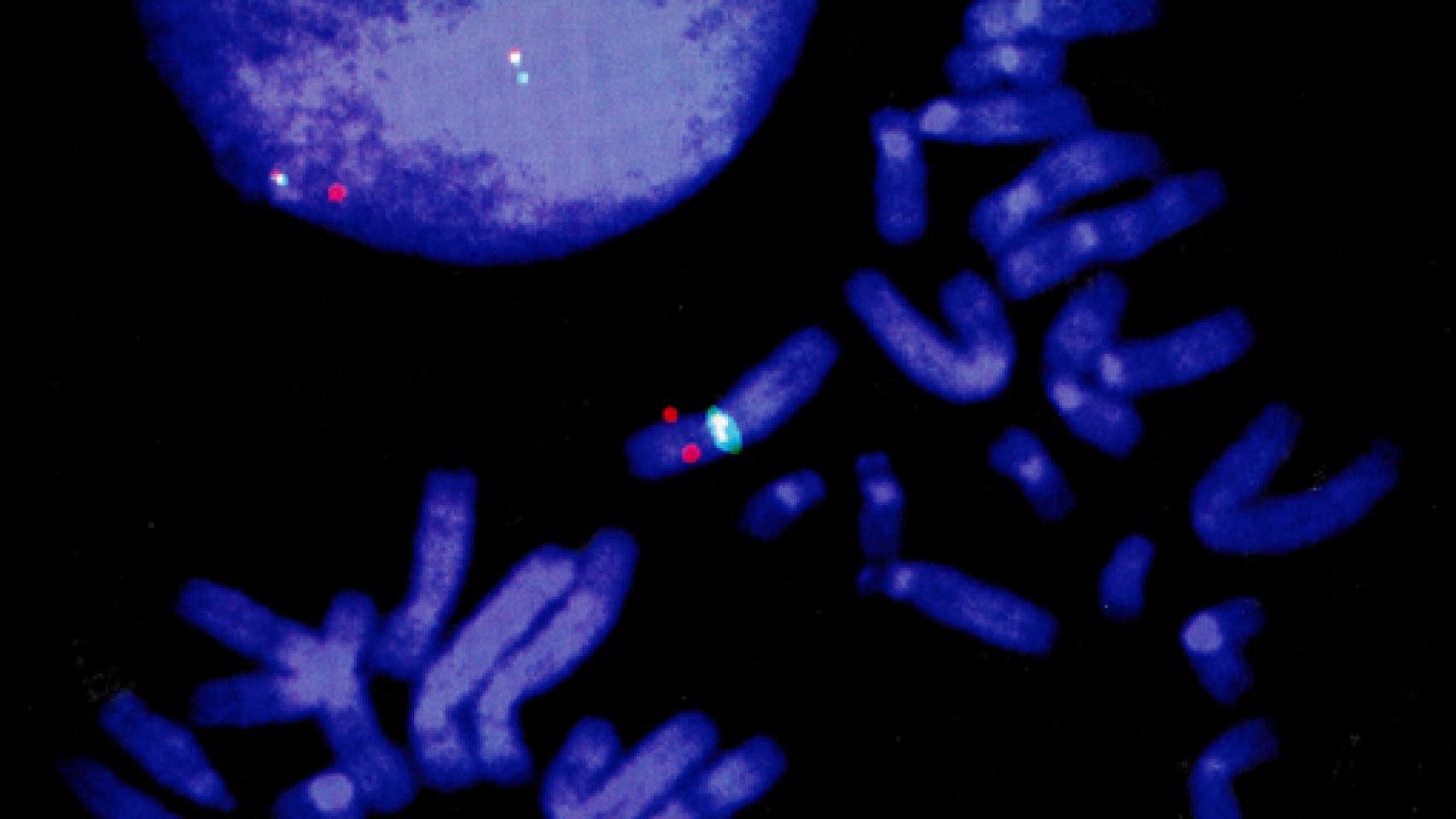 Image: Novelas con mucha ciencia