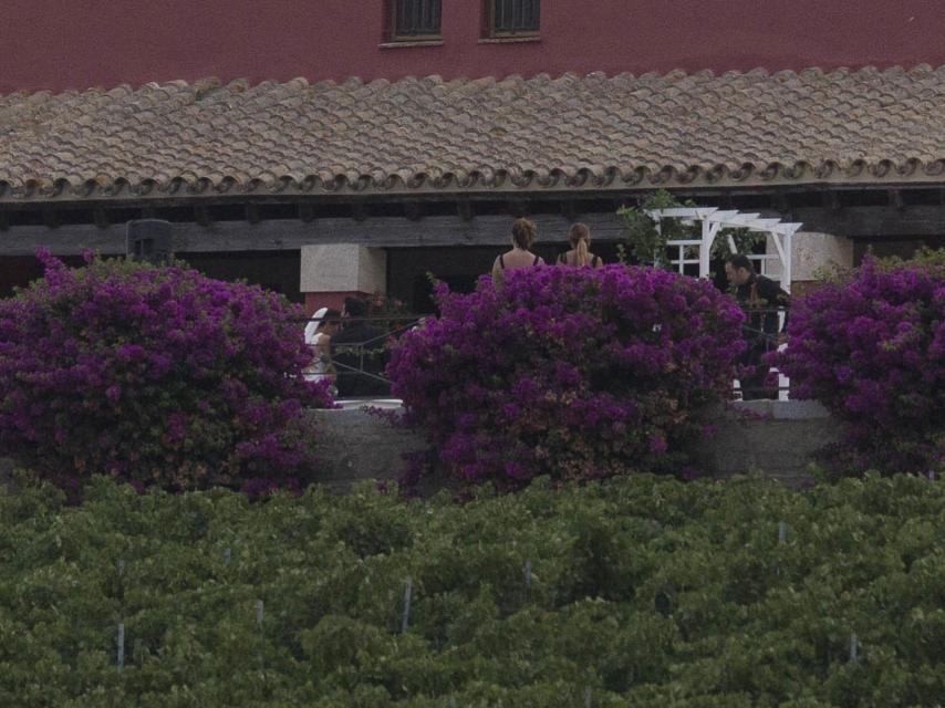 Los recién casados con gesto cariñoso