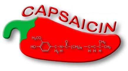capsaicina