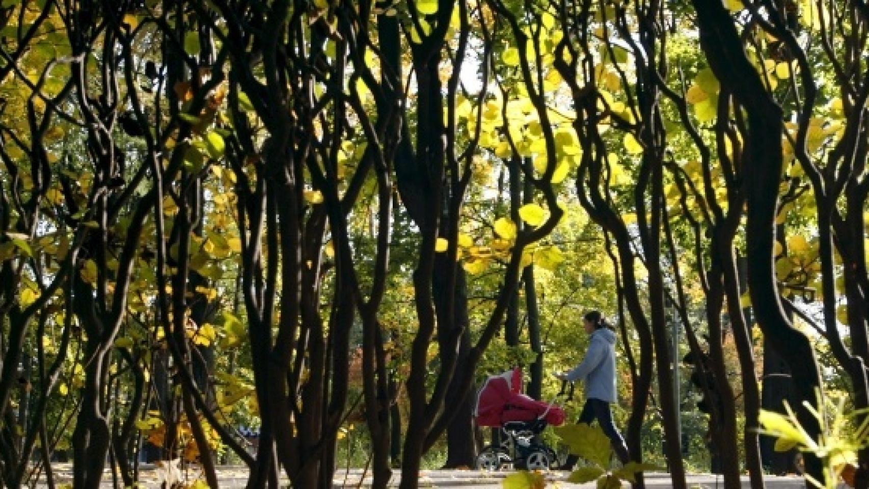 Una mujer pasea por un parque.