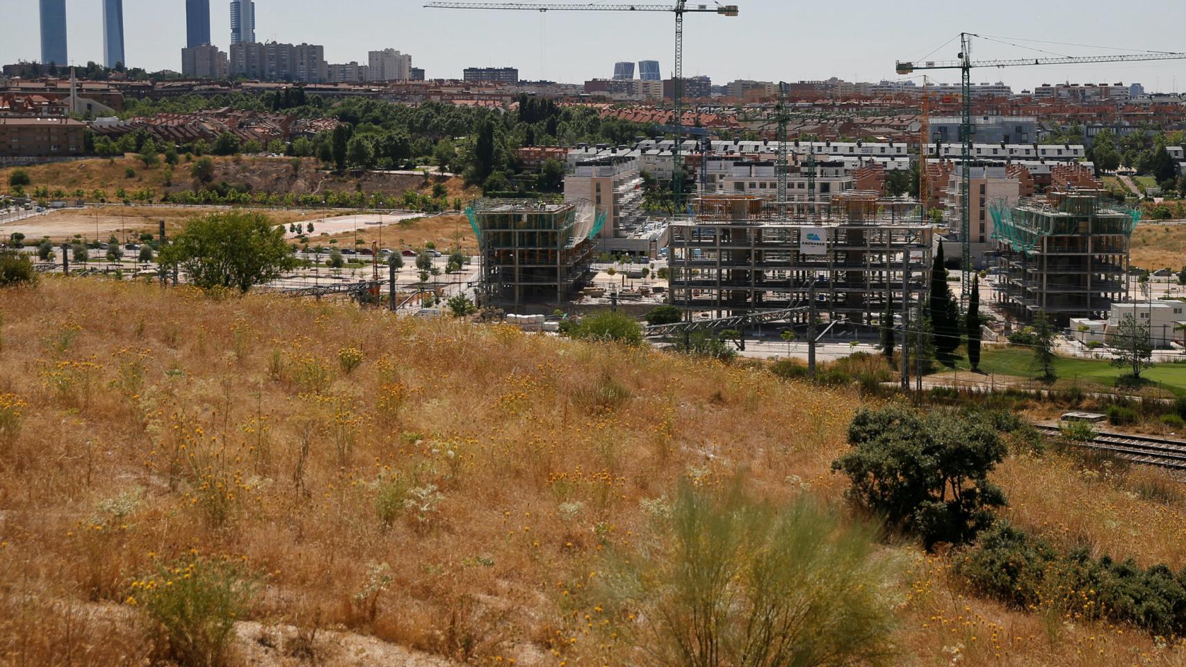 Grúas en el horizonte de Madrid.