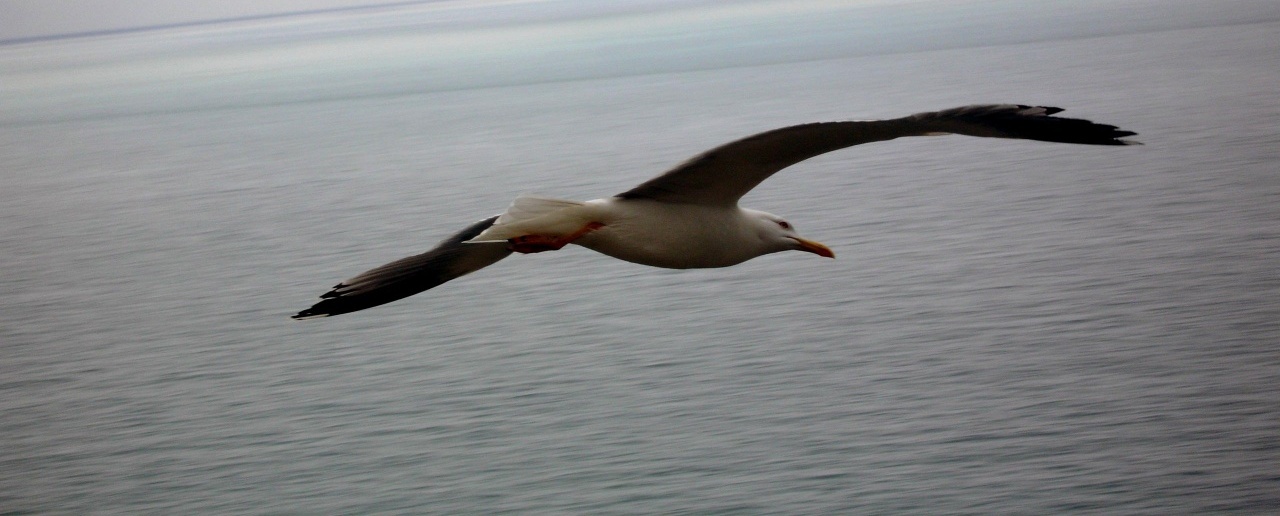 sueño durante el vuelo