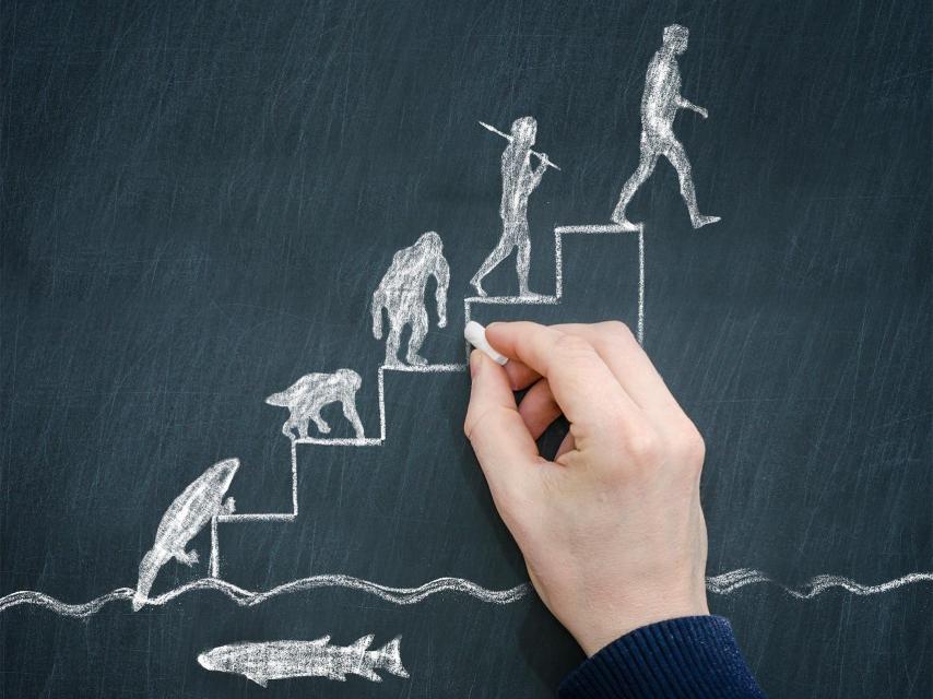 Seguimos evolucionando, pero ¿hacia dónde?